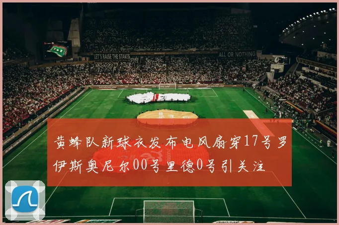 黄蜂队新球衣发布电风扇穿17号罗伊斯奥尼尔00号里德0号引关注